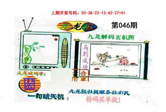 046期九龙报[图]