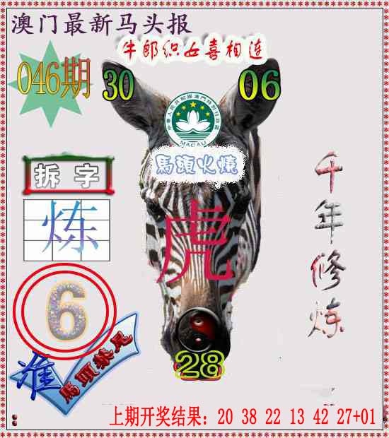 046期马头报[图]