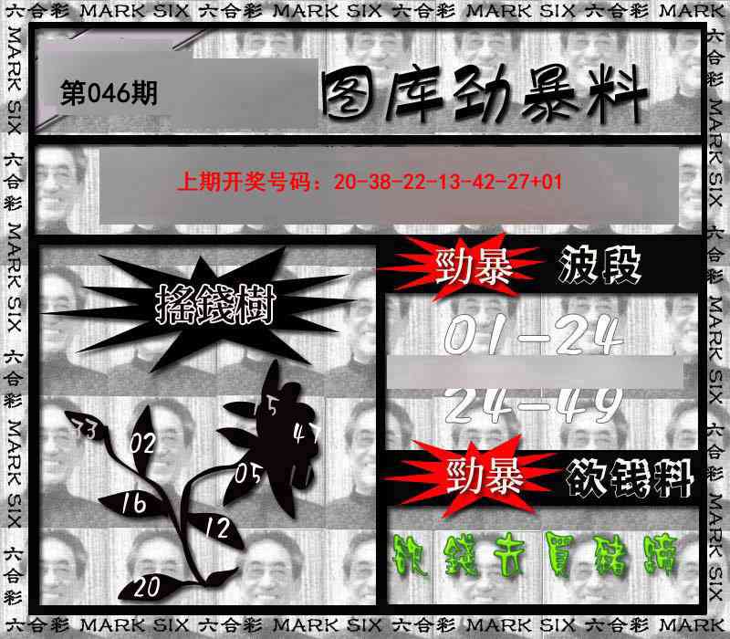 046期劲暴来料[图]