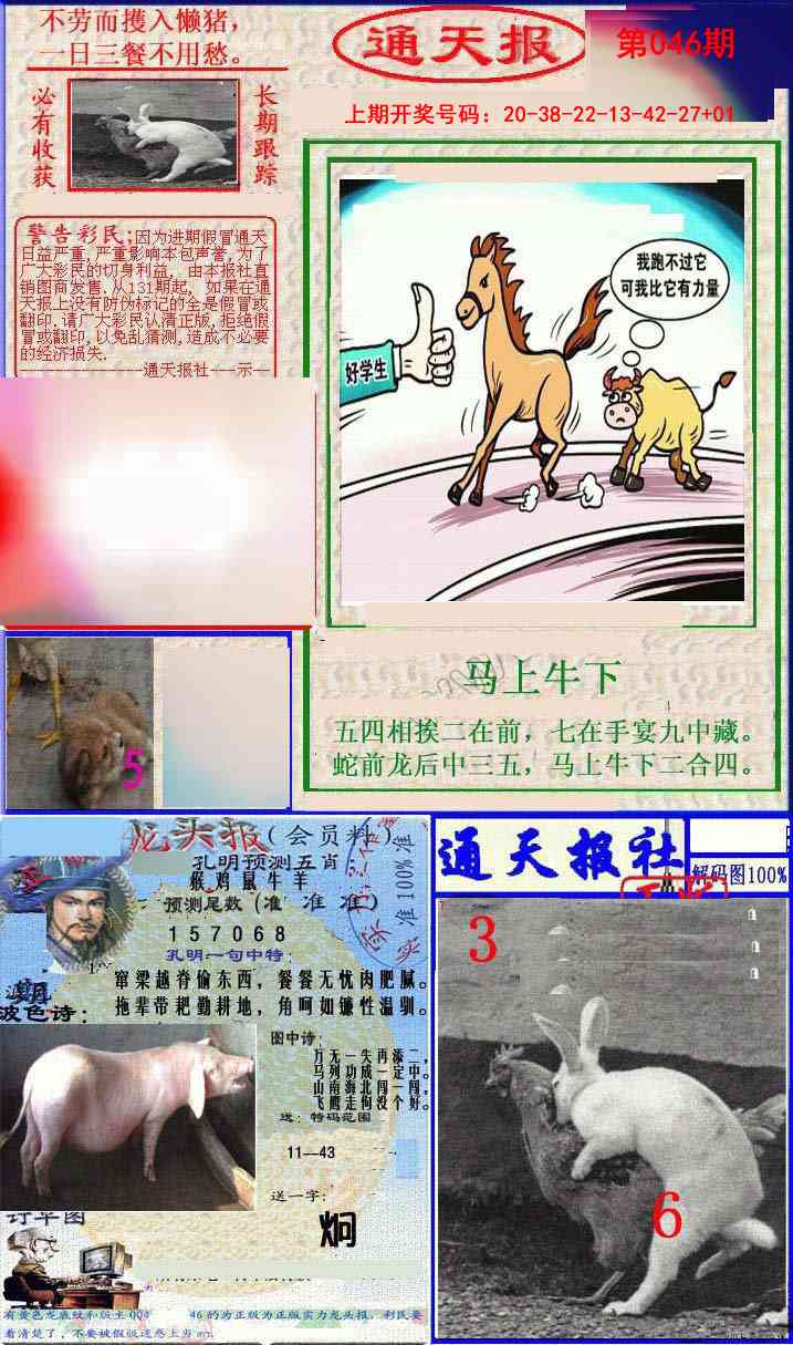 046期实力通天报[图]