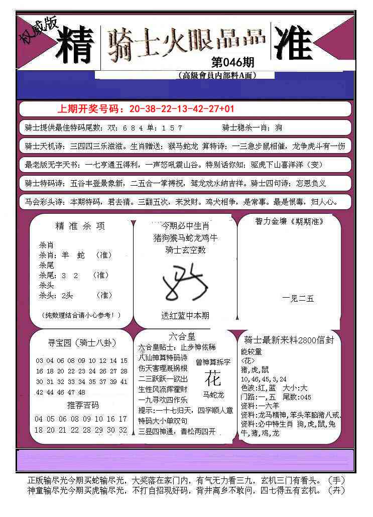 046期骑士火眼晶晶B[图]