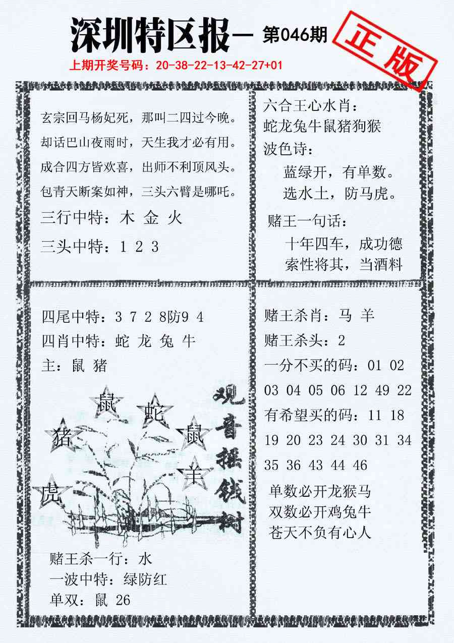 046期深圳特区报A[图]