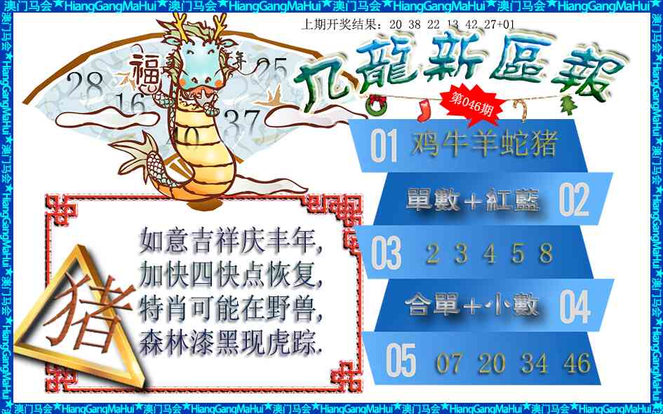 046期九龙新区报[图]