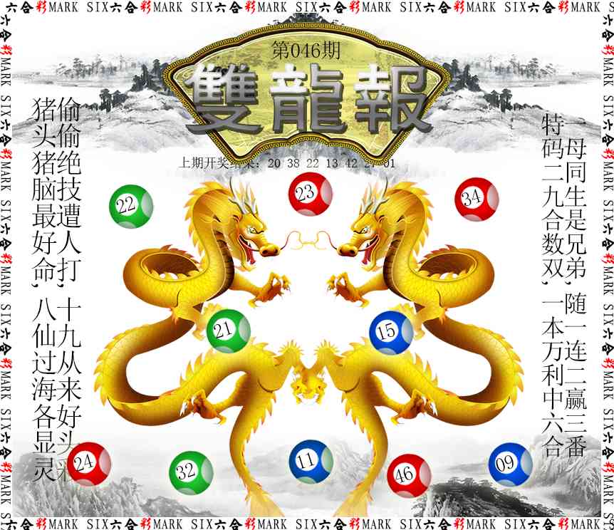 046期双龙报[图]