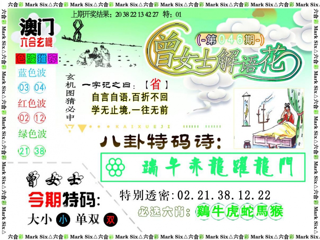 046期曾女士解语花[图]