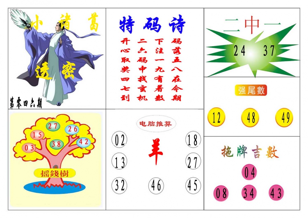 046期小诸葛[图]