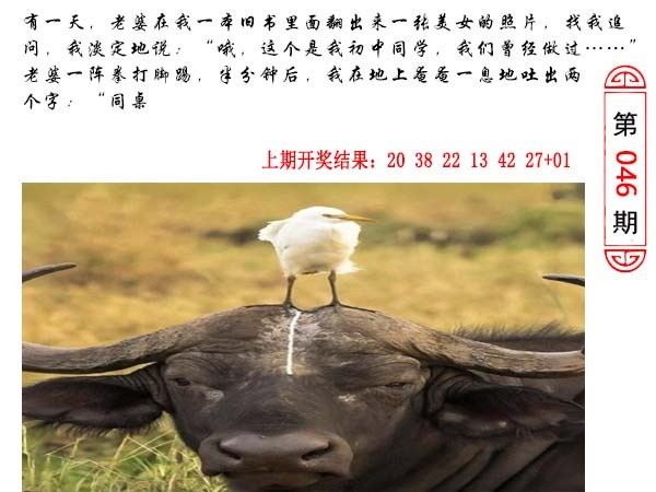 046期澳门生活幽默[图]