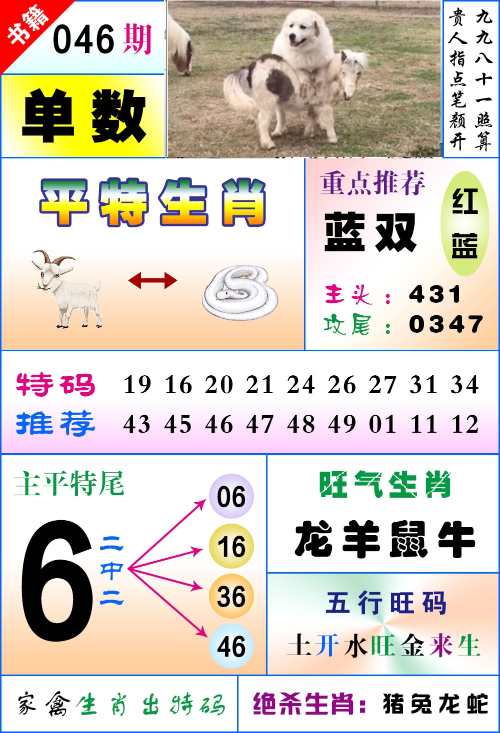 046期澳门风水平特[图]