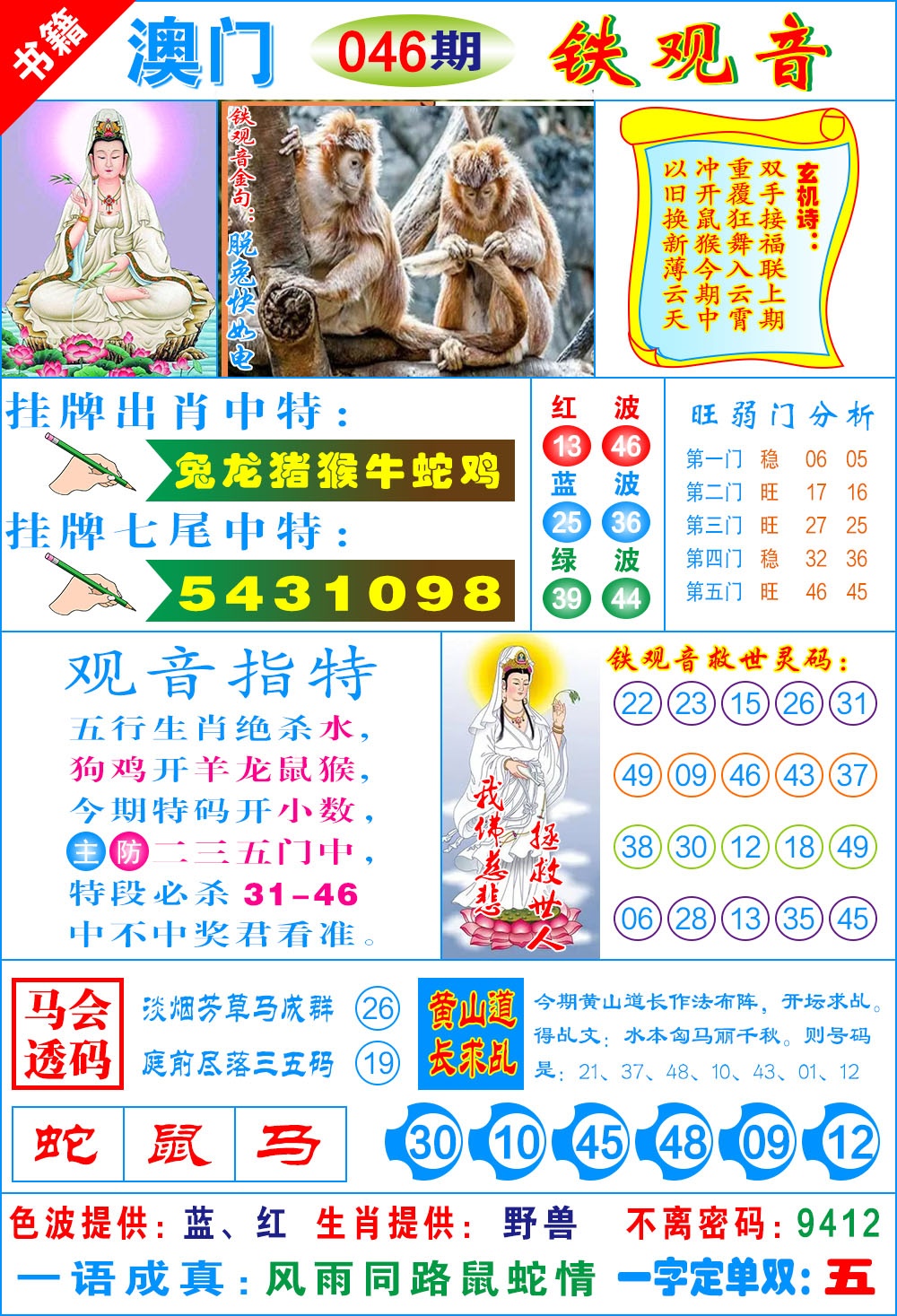 046期澳门铁观音[图]