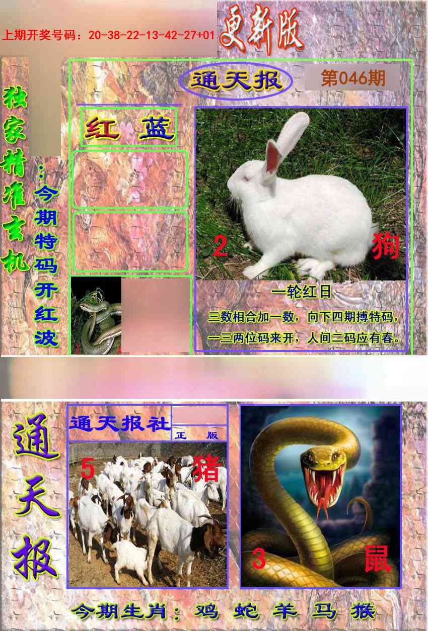 046期新通报[图]