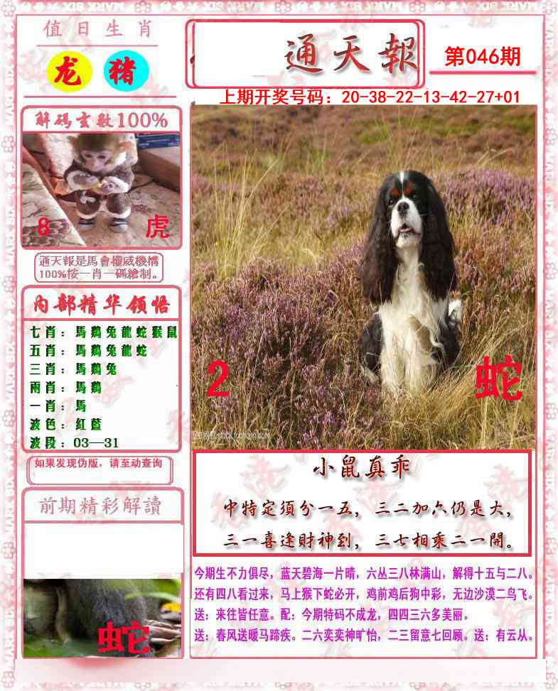 046期马经通天报[图]