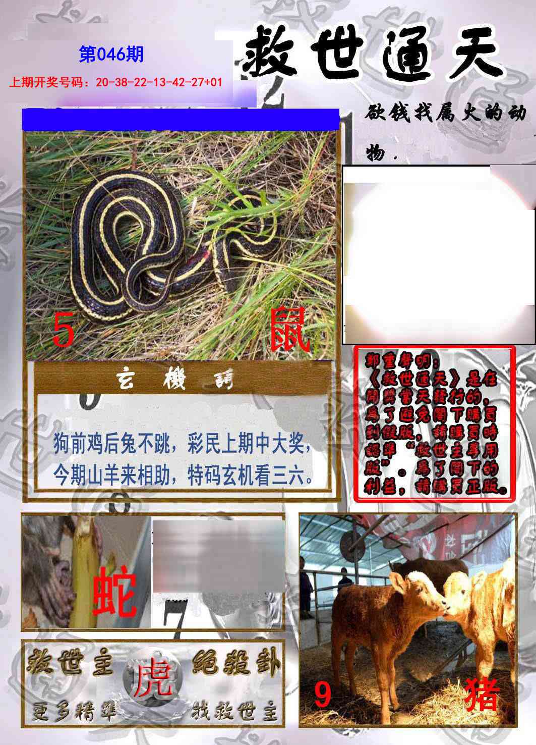 046期救世通天报[图]