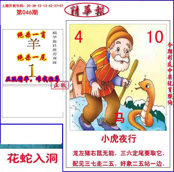046期新精华报报[图]