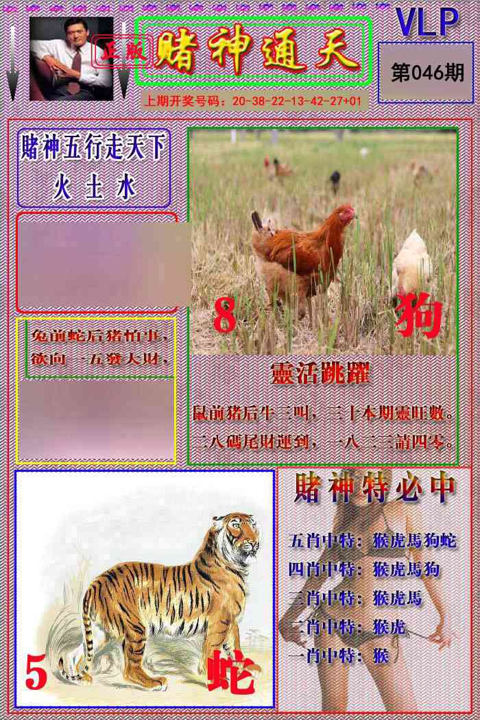 046期赌神通天报[图]