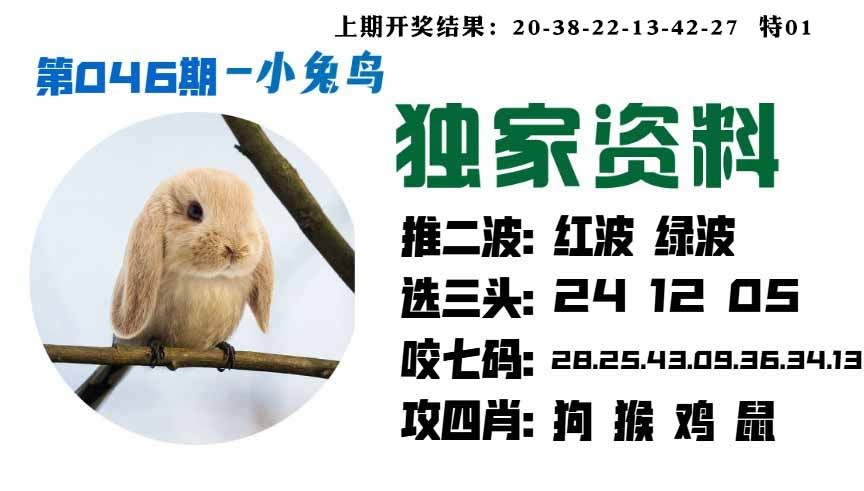 046期小兔鸟[图]